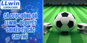Cá Cược Bóng Đá LLWIN - Bí Quyết Soi Kèo Từ Các Cao Thủ