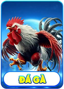 icon đá gà